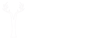 Fallowcopse Feeds - Grain Free Dog Food Superfood Puppy Petersfield Hampshire Surrey West Sussex London Berkshire Kent