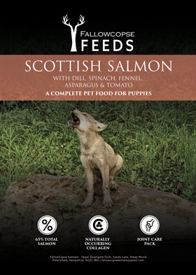 Fallowcopse Feeds - Superfood Scottish Salmon Puppy Food - Turkey Lamb Beef Duck Petersfield Hampshire Surrey West Sussex London Berkshire Kent