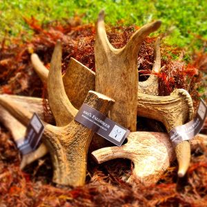 Fallowcopse Feeds - Antler Chews Dog Food - Turkey Beef Chicken Lamb Duck Petersfield Hampshire Surrey West Sussex London Berkshire Kent
