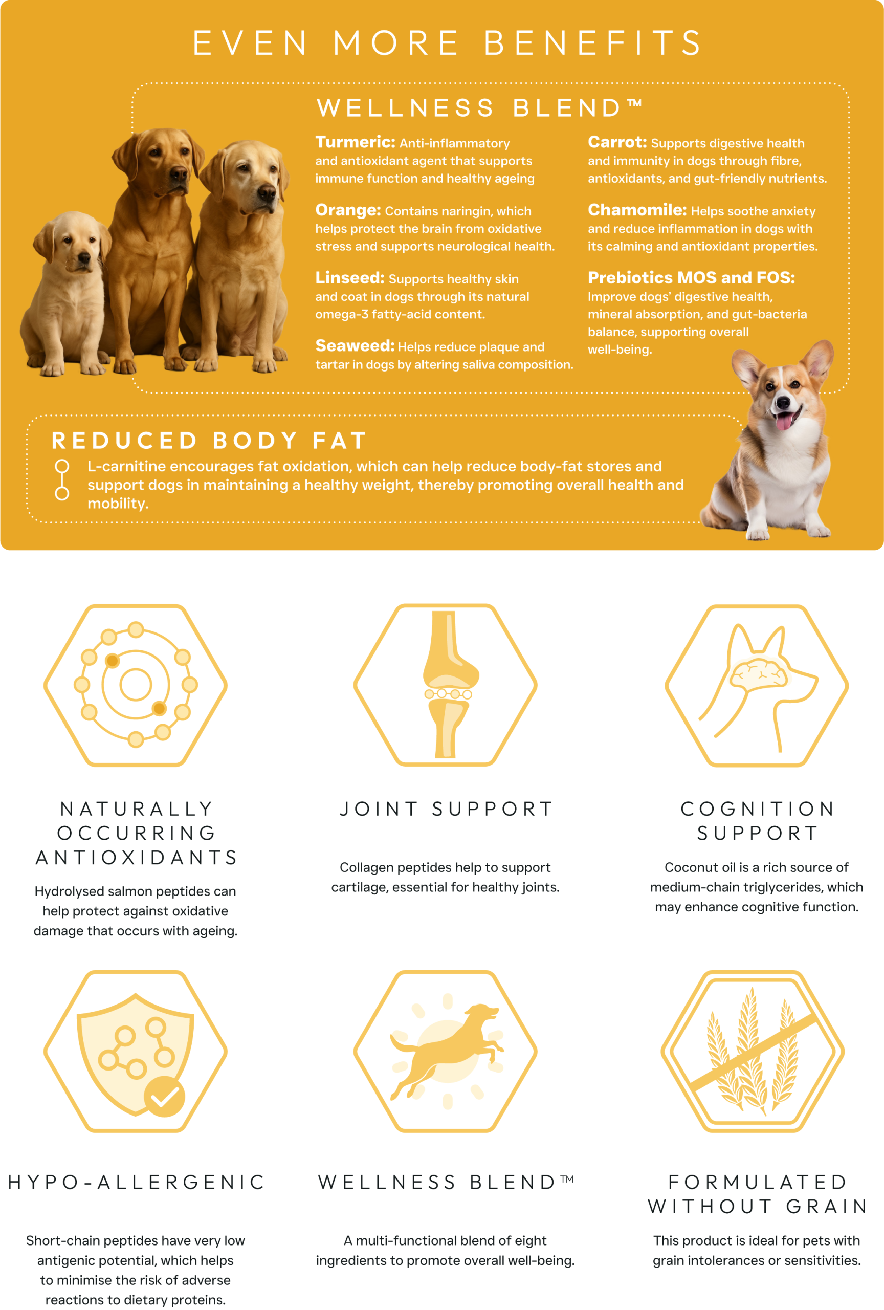 Hypoallergenic Healthy Living - Fallowcopse Feeds - Weight Control & Joint Care - Turkey Chicken Lamb Petersfield Hampshire Surrey West Sussex London Berkshire Kent